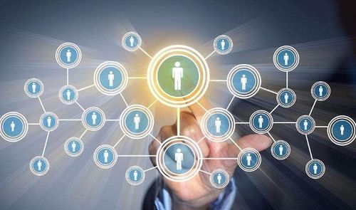 互聯網技術與開放經濟體制 雙輪驅動下的創業新選擇